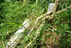 腾博汇游戏官网·(中国)专业服务,诚信为本