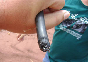 腾博汇游戏官网·(中国)专业服务,诚信为本