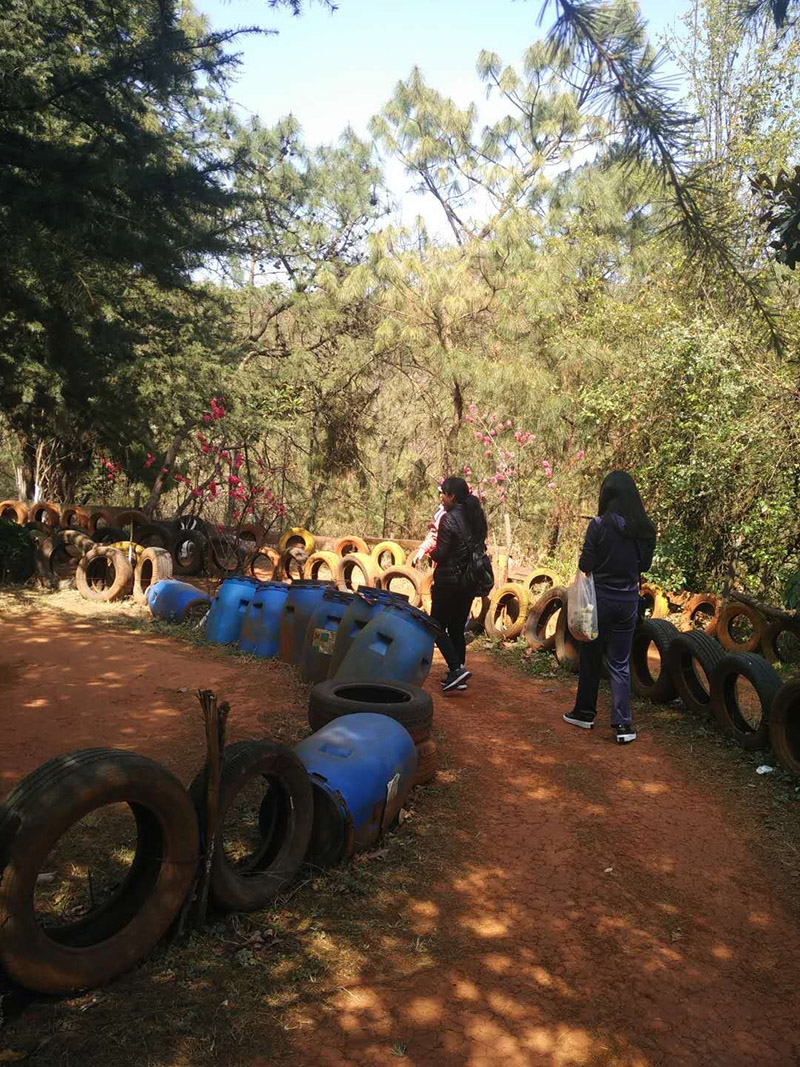 腾博汇游戏官网·(中国)专业服务,诚信为本