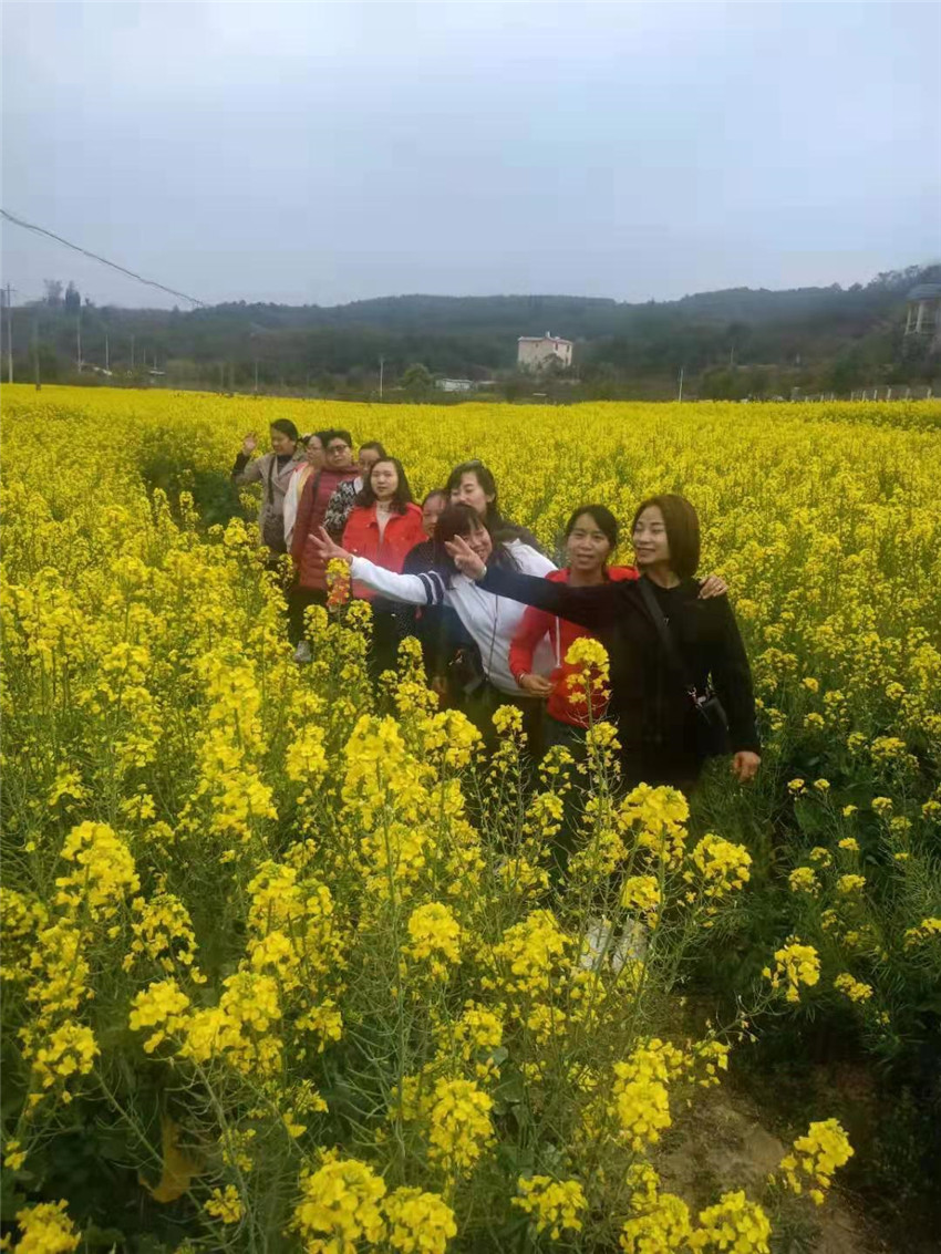 腾博汇游戏官网·(中国)专业服务,诚信为本