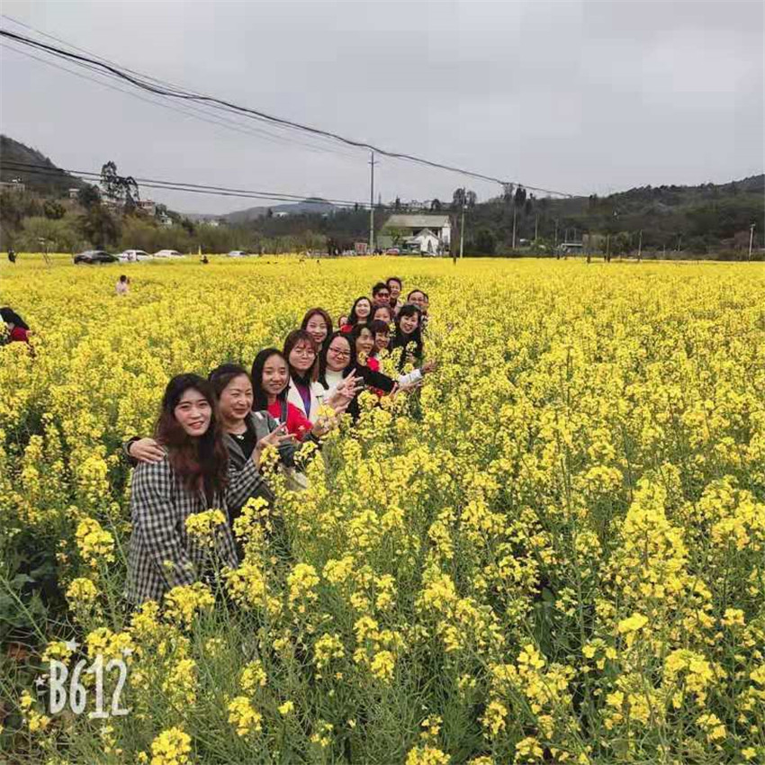 腾博汇游戏官网·(中国)专业服务,诚信为本